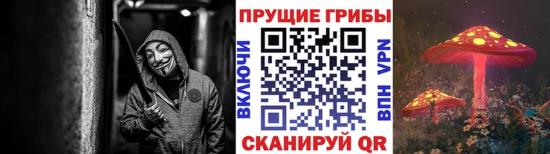 Галлюциногенные грибы MAGIC MUSHROOMS  цены наркотик  Шелехов 